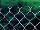 Chain Link Fence